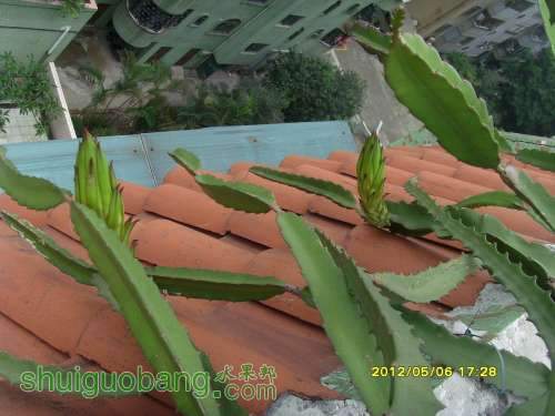 ������С SI854333.JPG