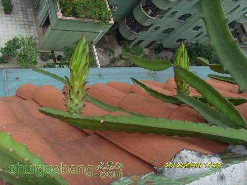 ������С SI854332.JPG