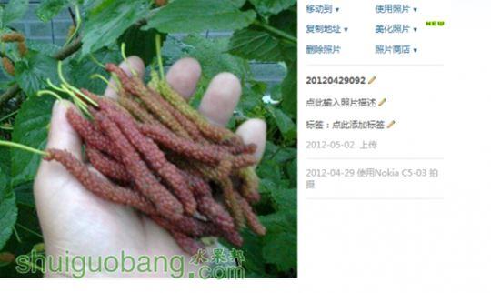 QQ��ͼ20120509104203.jpg