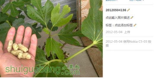 QQ��ͼ20120509104135.jpg