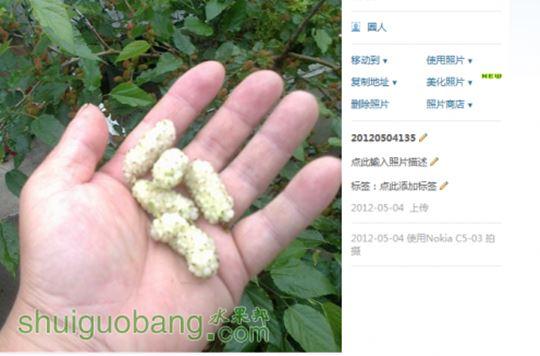 QQ��ͼ20120509104807.jpg