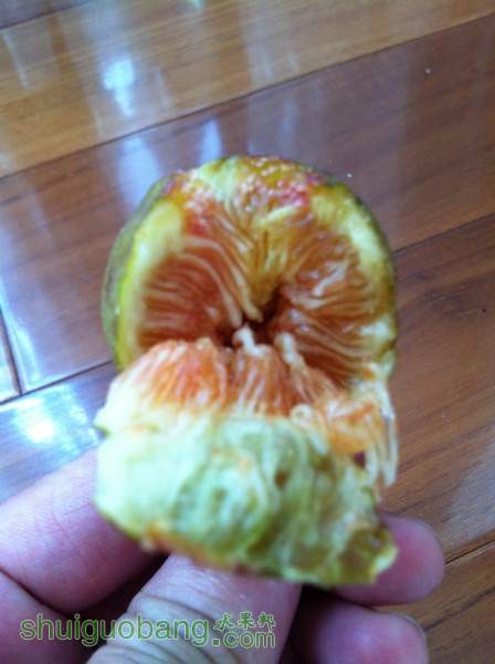 Ƭ20120216 010.jpg