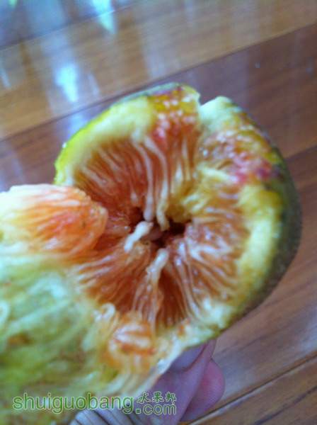 Ƭ20120216 011.jpg