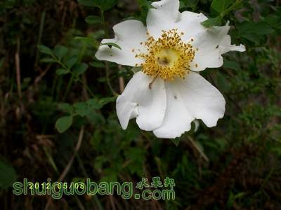 nEO_IMG_ALIM2038.jpg