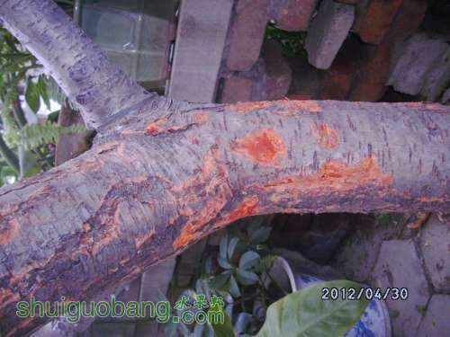 DSCK0002.JPG