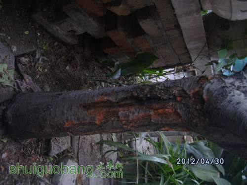 DSCK0004.JPG