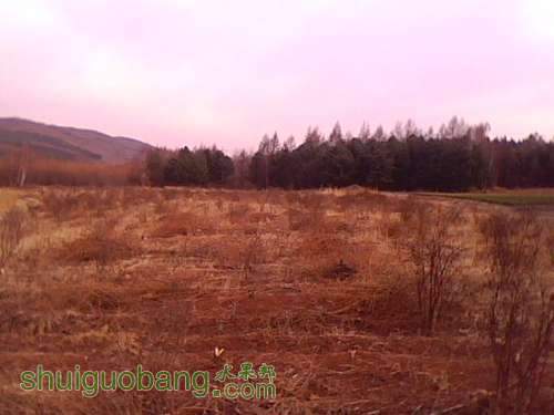 IMG0190A.jpg