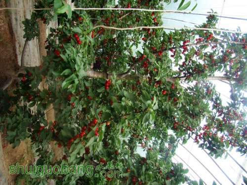 nEO_IMG_DSC06337.jpg