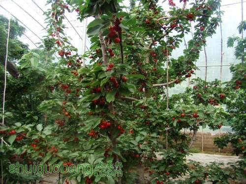 nEO_IMG_DSC06349.jpg