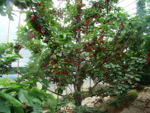 nEO_IMG_DSC06352.jpg
