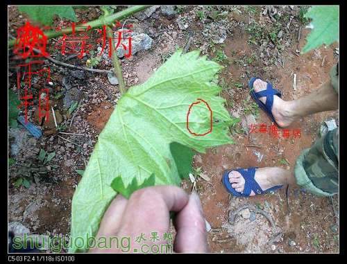 nEO_IMG_20120511225.jpg
