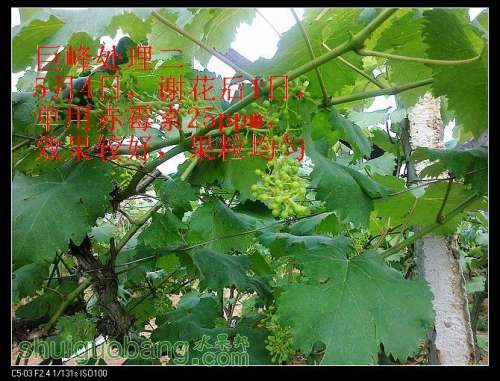 nEO_IMG_20120511226.jpg