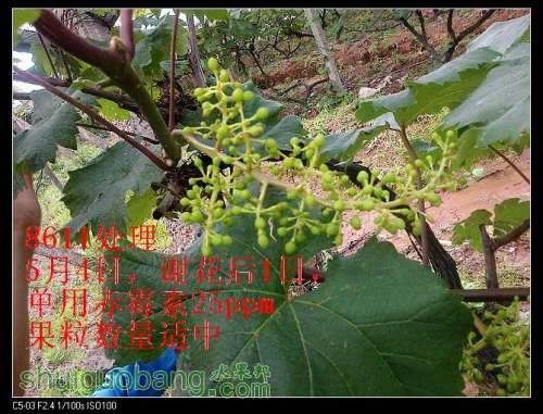 nEO_IMG_20120511232.jpg