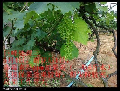 nEO_IMG_ת 20120511229.jpg