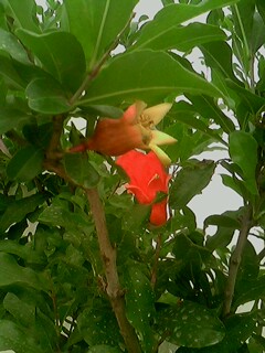 IMG0163A.jpg