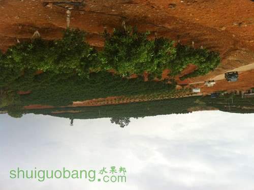 Ƭ 051_.jpg