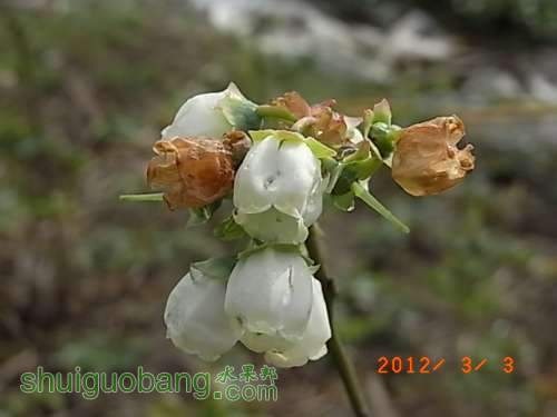 RIMG0362.JPG