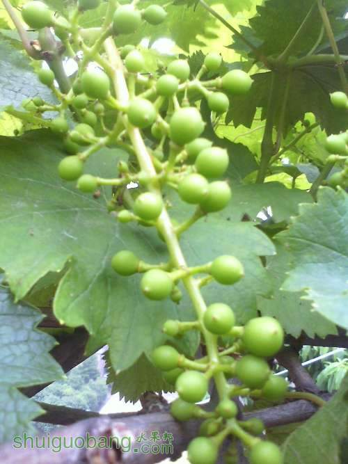 IMG0513180000.jpg