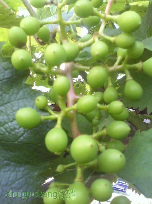 IMG0516182400.jpg