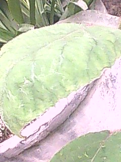 DSC_0000279.jpg