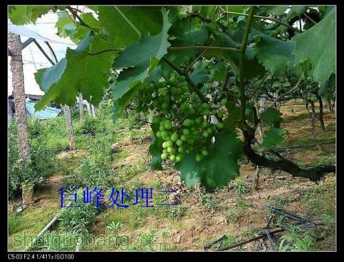 nEO_IMG_20120520257.jpg