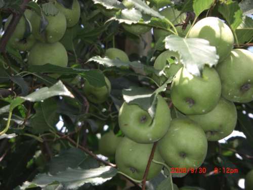 201158143642938.jpg