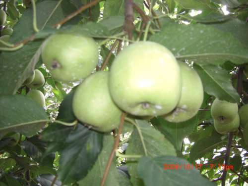 201158144744431.jpg