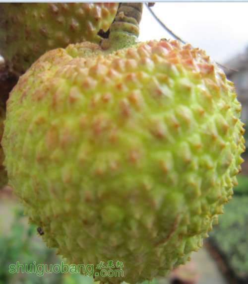 5HTEIWIKOR7(`_72M0CT.jpg