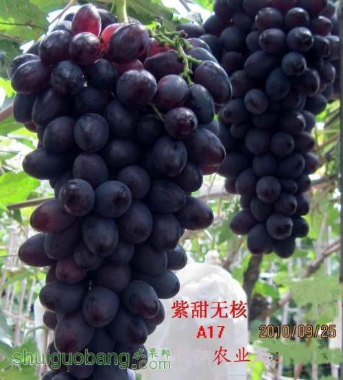 ������С �����޺�2010.09.25 046.jpg