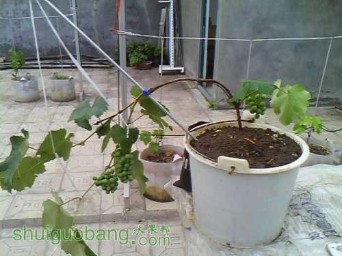 IMG0013A.jpg