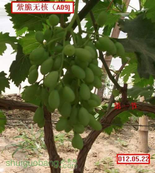 �ϴ��޺�.A09..012.05.21 055.jpg