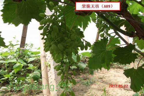 �ϴ��޺�A09..012.05.21 052.jpg