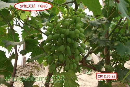 �ϴ��޺�A09..012.05.21 061.jpg