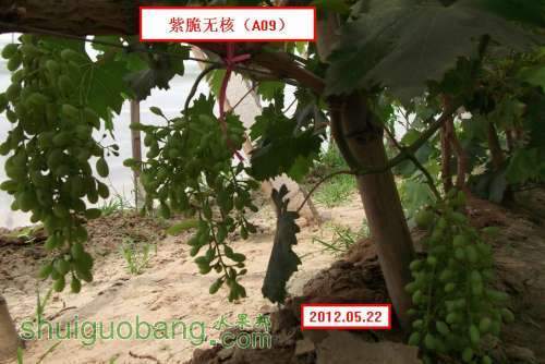 �ϴ��޺�A09..012.05.21 062.jpg