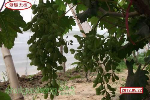 �ϴ��޺�A09..012.05.21 063.jpg