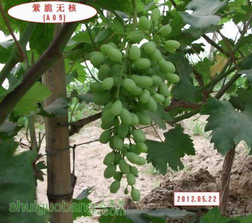 �ϴ��޺�A09..012.05.21 069.jpg