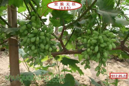 �ϴ��޺�A09..012.05.21 075.jpg