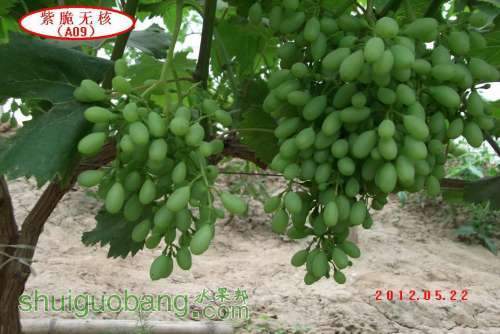 �ϴ��޺�A09..012.05.21 077.jpg