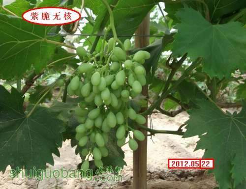 �ϴ��޺�A09.ʵ��.012.05.2085.jpg