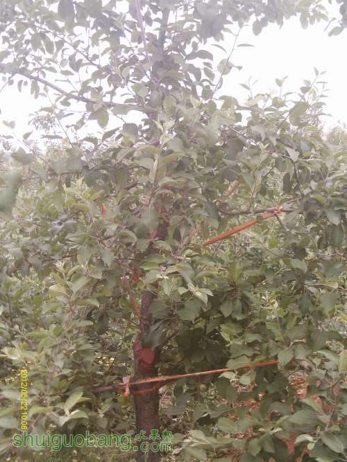 ����е���