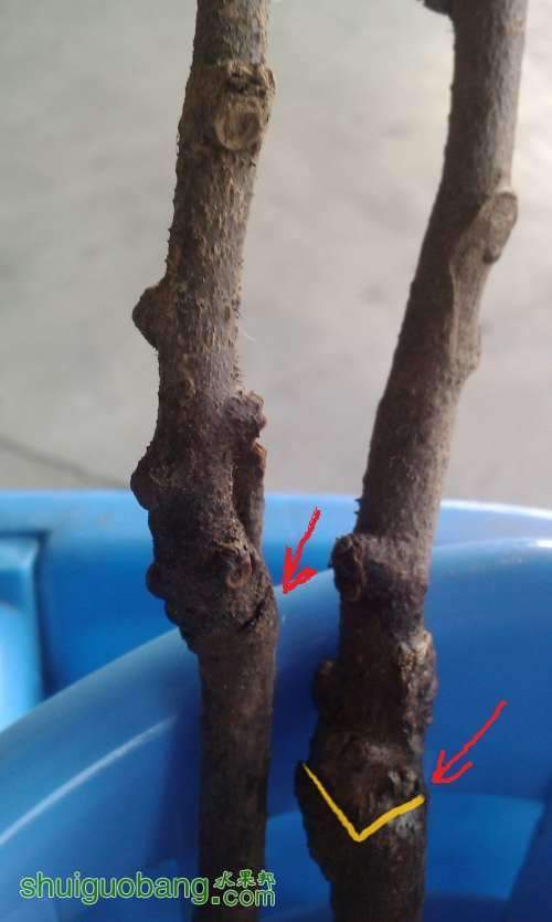 ��ͷ�ĵط����Ǽ޽Ӻۼ���