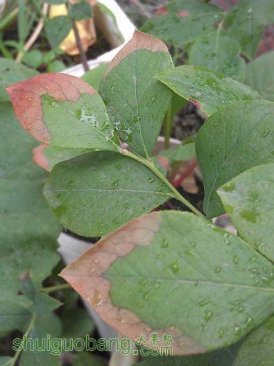 IMAG0711_����.jpg