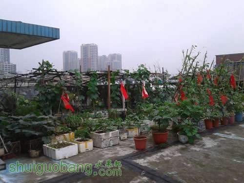 20120524_172705.jpg