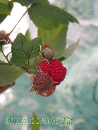 IMG_9049.JPG