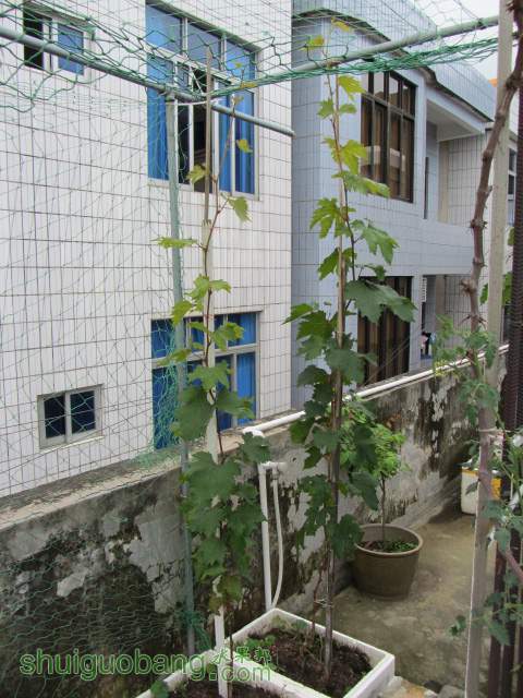 �ֺ��� 084.jpg