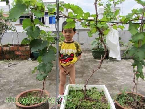 �ֺ��� 091.jpg