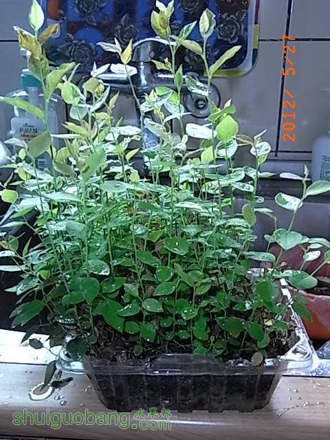 RIMG0644.JPG
