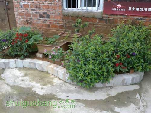 UC_Photo_1.jpg
