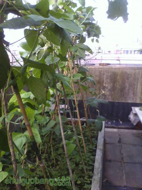 IMG0530162000.jpg