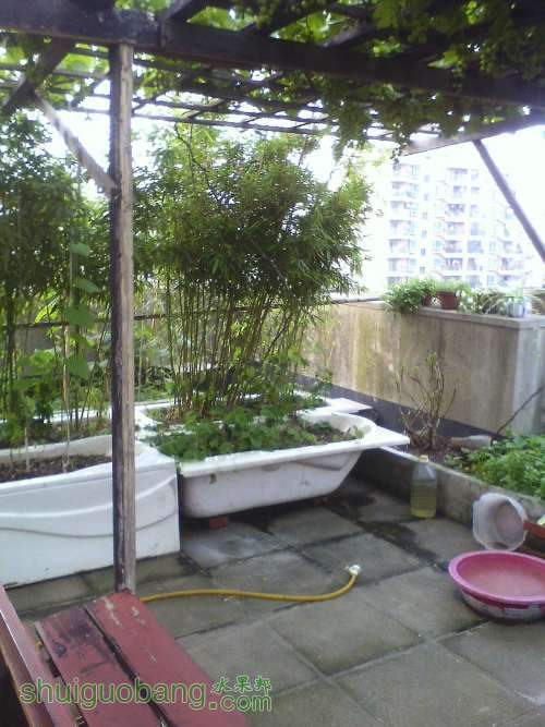 IMG0530162201.jpg